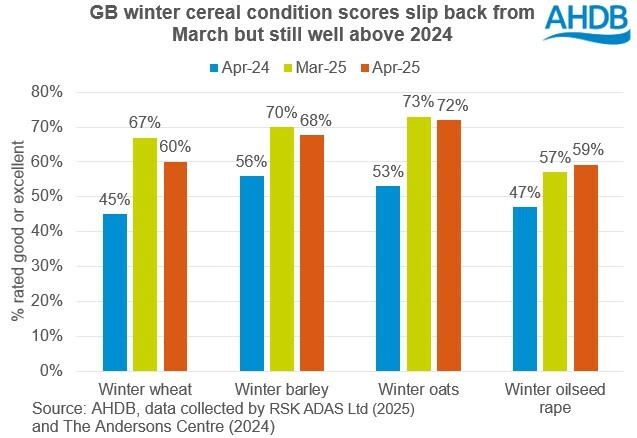 Chart showing the proportion of GB winter crops in good or excellent condition in April 2025 vs 2024